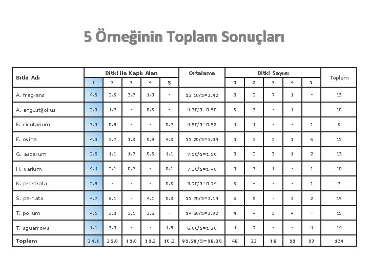 5 Örneğinin Toplam Sonuçları Bitki Adı Bitki ile Kaplı Alan Ortalama 1 2 3