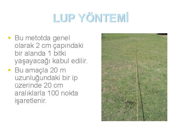 LUP YÖNTEMİ § Bu metotda genel olarak 2 cm çapındaki bir alanda 1 bitki