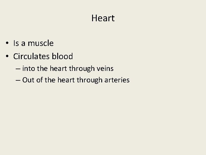 Heart • Is a muscle • Circulates blood – into the heart through veins