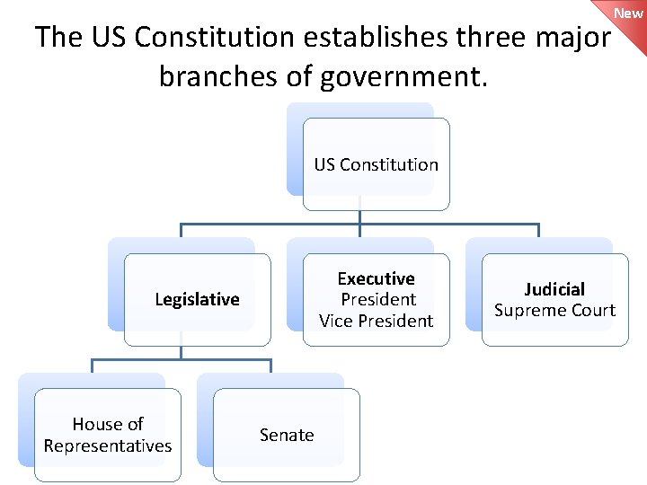 The US Constitution establishes three major branches of government. New US Constitution Executive President