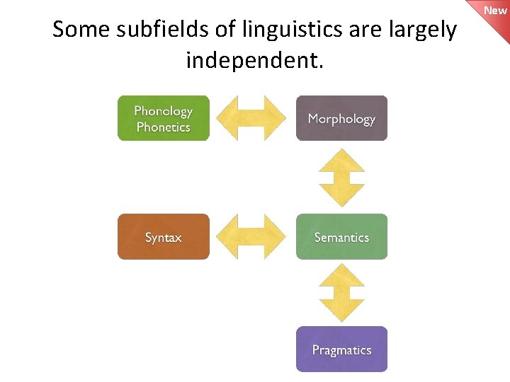 Some subfields of linguistics are largely independent. New 