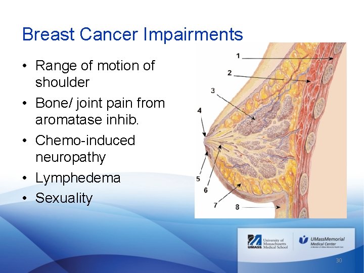 Breast Cancer Impairments • Range of motion of shoulder • Bone/ joint pain from