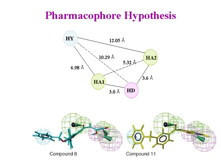 Pharmacophore Hypothesis HY 12. 05 Å 10. 29 Å 6. 98 Å 5. 32