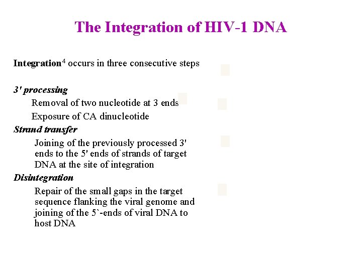 The Integration of HIV-1 DNA Integration 4 occurs in three consecutive steps 3' processing