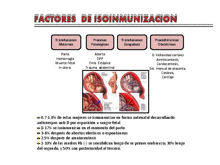 FACTORES DE ISOINMUNIZACION ____________________ Transfusiones Maternas Procesos Patológicos Parto Hemorragia Muerte Fetal In útero.