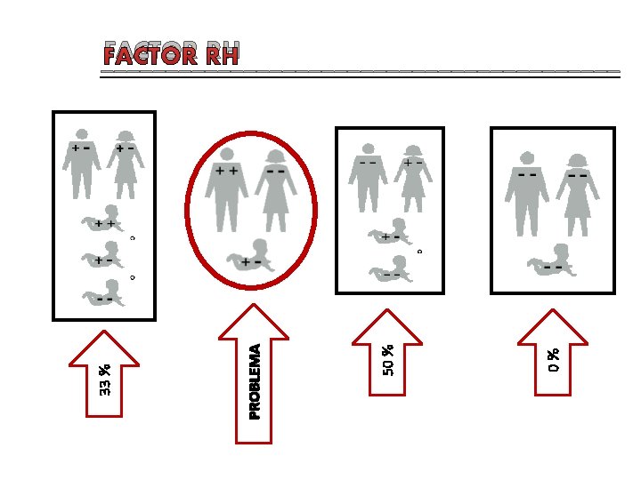 0 % 50 % PROBLEMA 33 % FACTOR RH ____________________ 