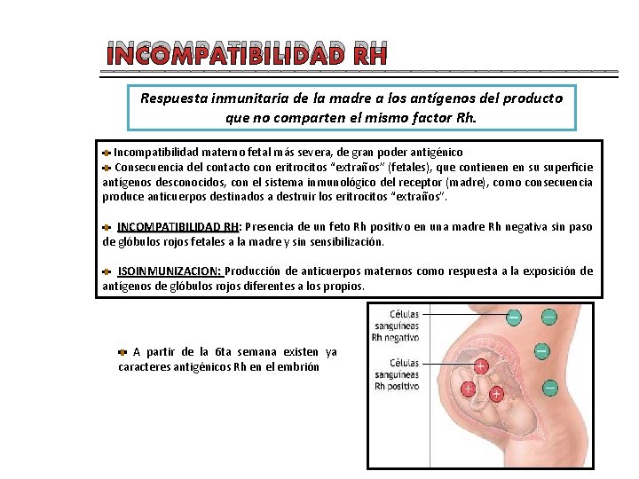 INCOMPATIBILIDAD RH ____________________ Respuesta inmunitaria de la madre a los antígenos del producto que
