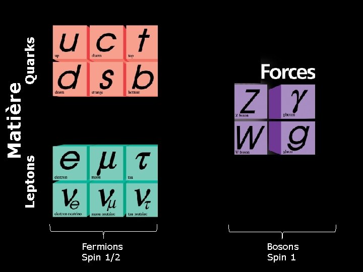 Quarks Leptons Matière Fermions Bosons 4 Spin 1/2 Spin 1 14 