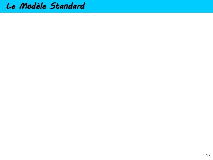 Le Modèle Standard 15 