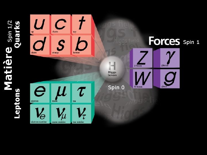 Leptons Spin 1/2 Quarks Matière Spin 1 Spin 0 4 25 