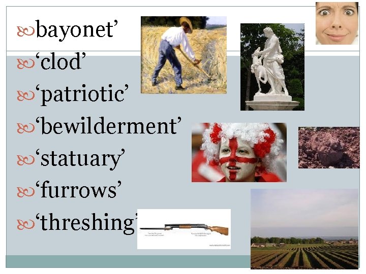 bayonet’ ‘clod’ ‘patriotic’ ‘bewilderment’ ‘statuary’ ‘furrows’ ‘threshing’ 