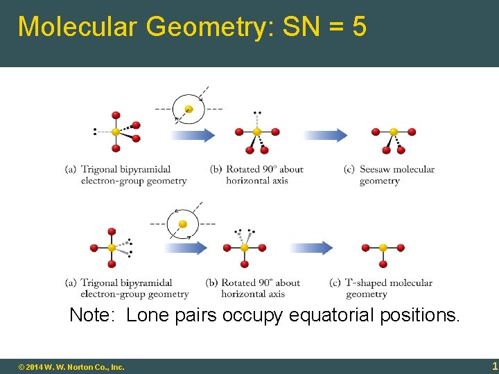 Molecular Geometry: SN = 5 Note: Lone pairs occupy equatorial positions. 9 -19 ©