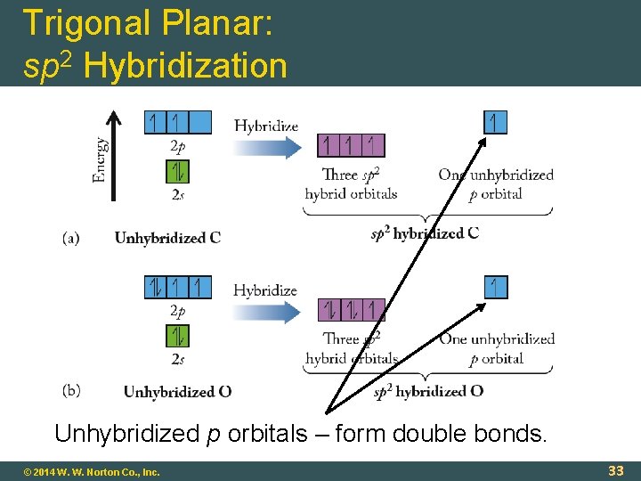 Trigonal Planar: sp 2 Hybridization Unhybridized p orbitals – form double bonds. © 2014