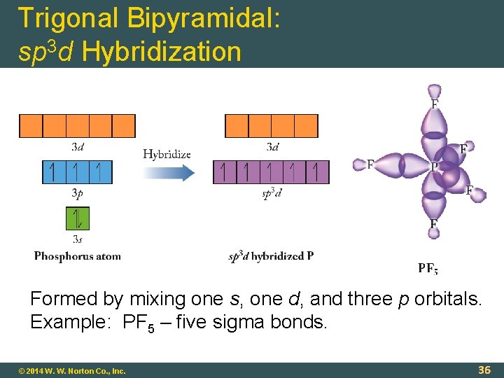 Trigonal Bipyramidal: sp 3 d Hybridization Formed by mixing one s, one d, and
