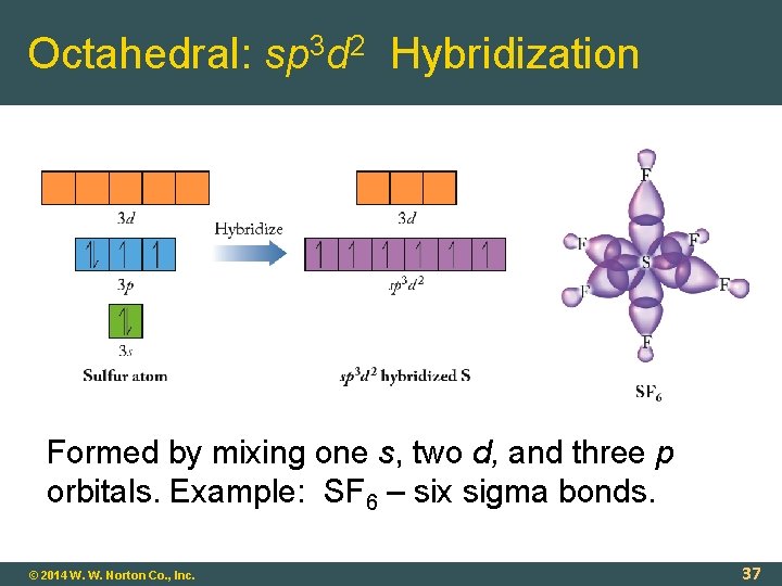 Octahedral: sp 3 d 2 Hybridization Formed by mixing one s, two d, and