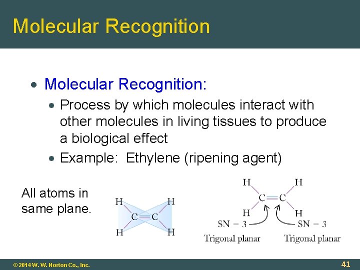 Molecular Recognition Molecular Recognition: Process by which molecules interact with other molecules in living