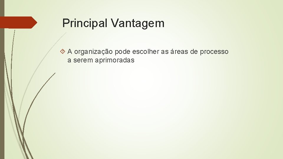 Principal Vantagem A organização pode escolher as áreas de processo a serem aprimoradas 