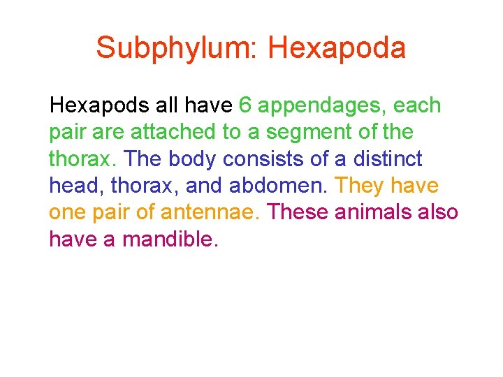 Subphylum: Hexapoda Hexapods all have 6 appendages, each pair are attached to a segment
