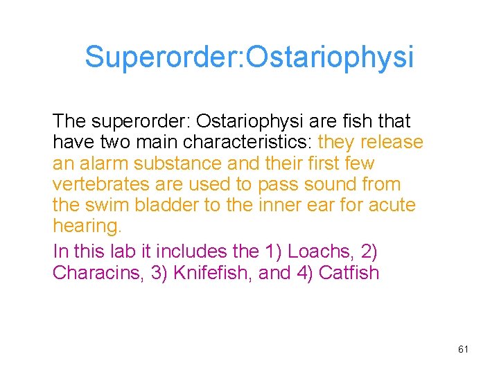 Superorder: Ostariophysi The superorder: Ostariophysi are fish that have two main characteristics: they release