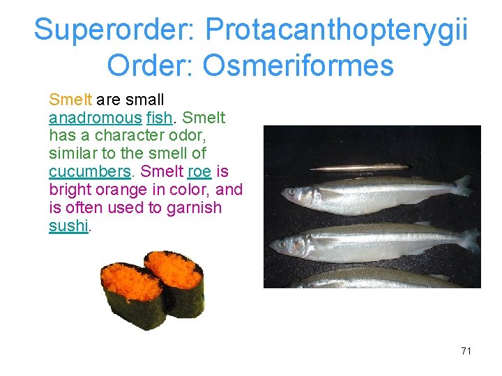 Superorder: Protacanthopterygii Order: Osmeriformes Smelt are small anadromous fish. Smelt has a character odor,