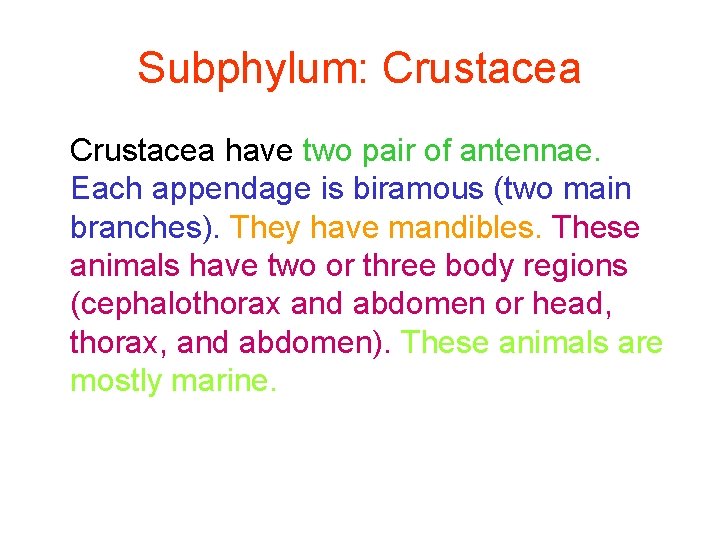 Subphylum: Crustacea have two pair of antennae. Each appendage is biramous (two main branches).