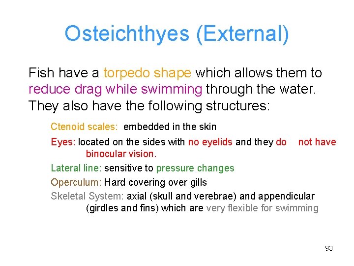 Osteichthyes (External) Fish have a torpedo shape which allows them to reduce drag while