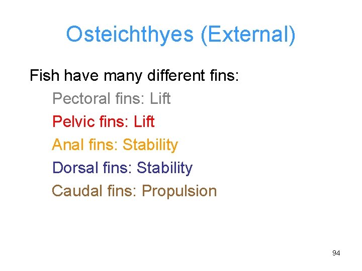 Osteichthyes (External) Fish have many different fins: Pectoral fins: Lift Pelvic fins: Lift Anal