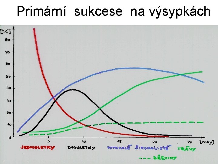 Primární sukcese na výsypkách 
