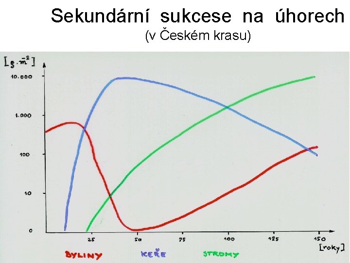 Sekundární sukcese na úhorech (v Českém krasu) 