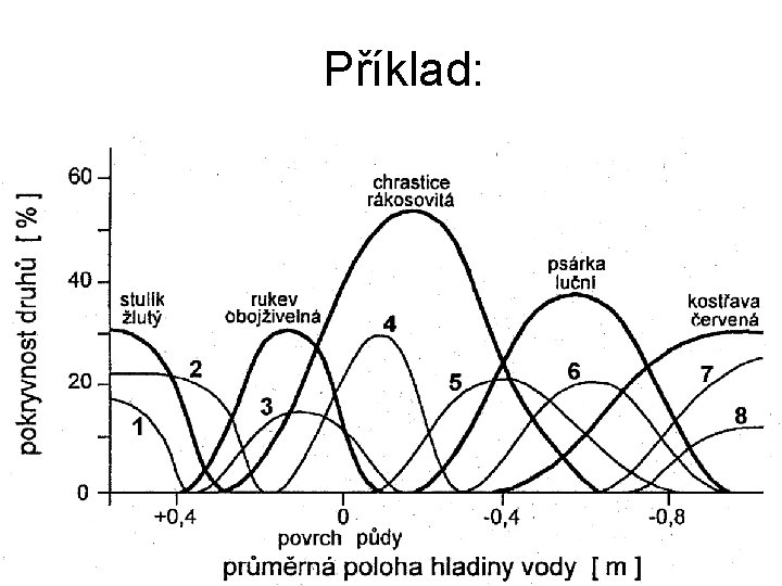 Příklad: 