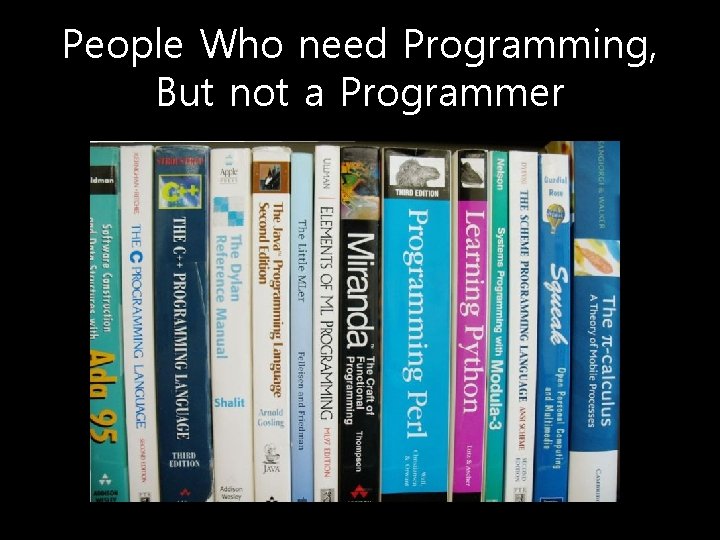 People Who need Programming, But not a Programmer 