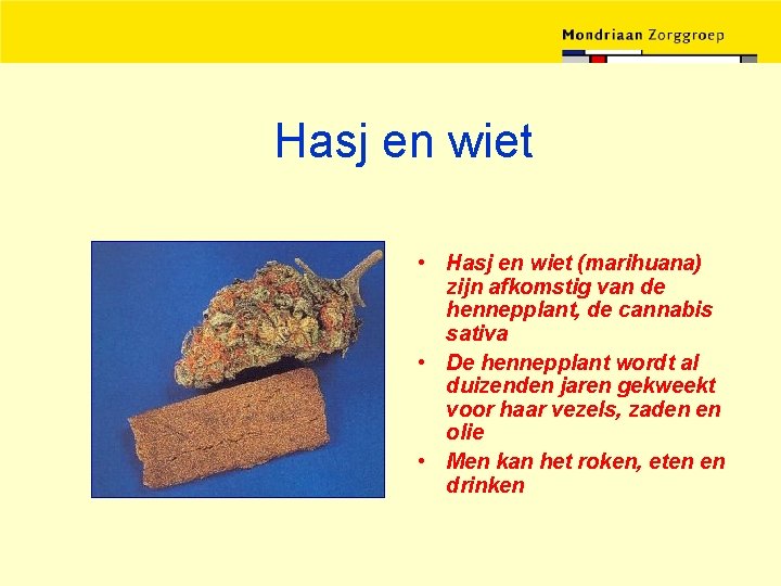 Hasj en wiet • Hasj en wiet (marihuana) zijn afkomstig van de hennepplant, de