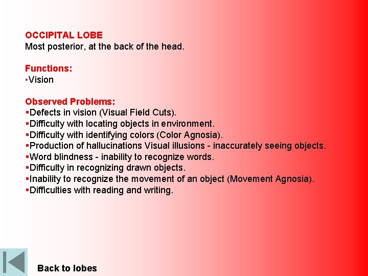 OCCIPITAL LOBE Most posterior, at the back of the head. Functions: • Vision Observed