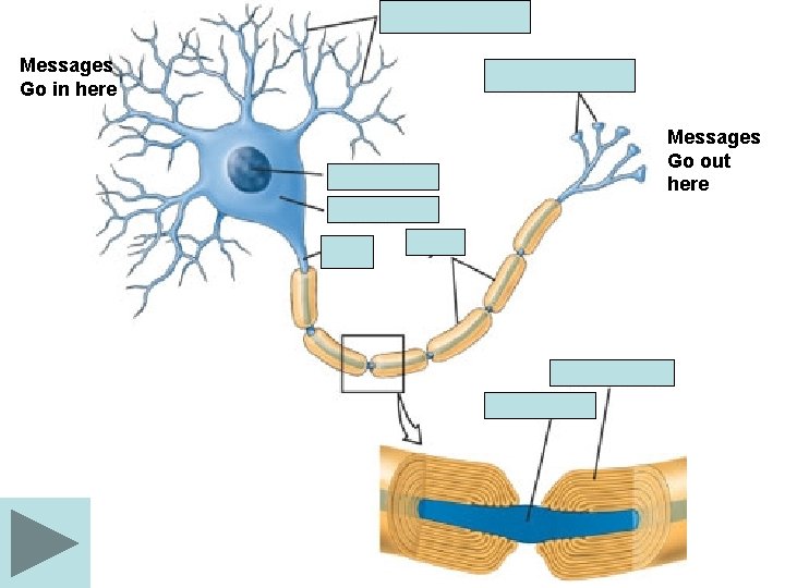 Messages Go in here Messages Go out here 