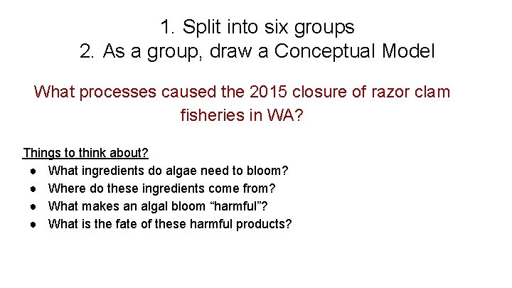 1. Split into six groups 2. As a group, draw a Conceptual Model What