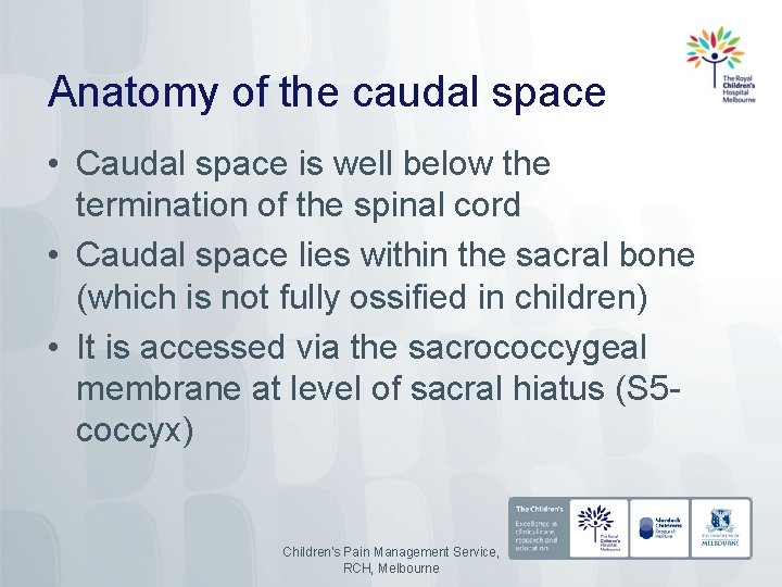 Anatomy of the caudal space • Caudal space is well below the termination of