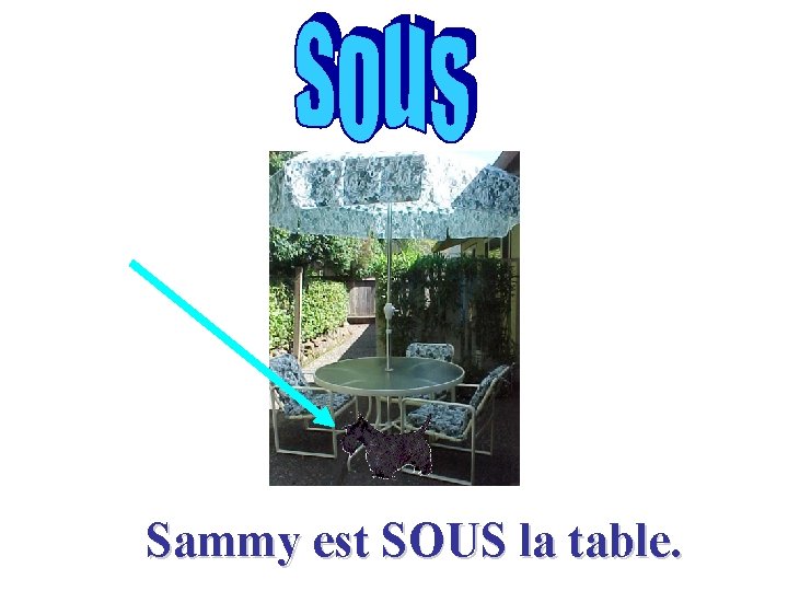 Sammy est SOUS la table. 