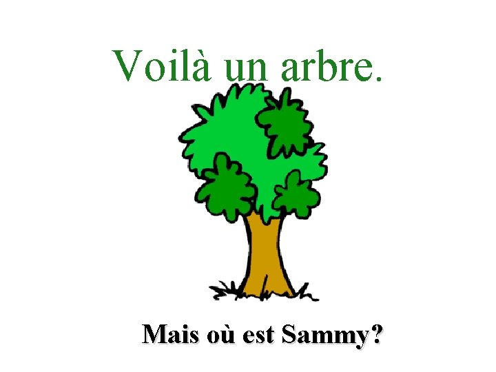 Voilà un arbre. Mais où est Sammy? 