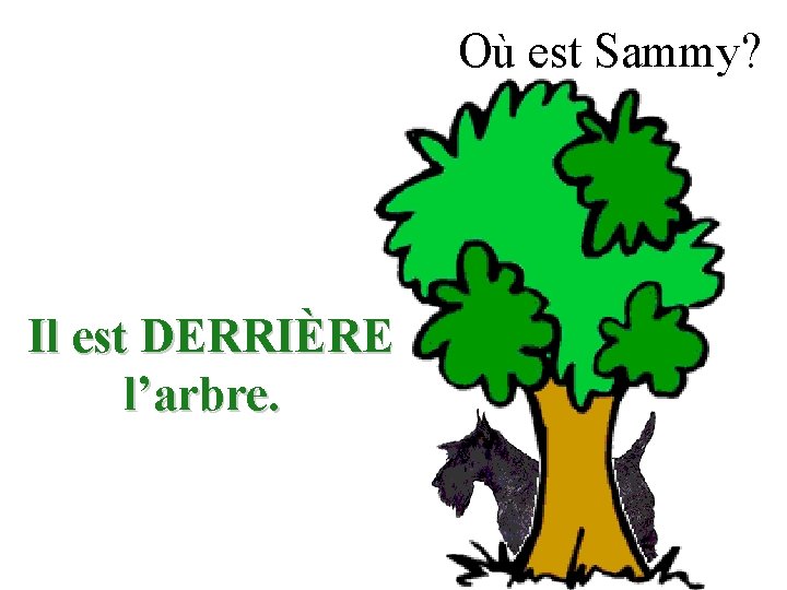 Où est Sammy? Il est DERRIÈRE l’arbre. 