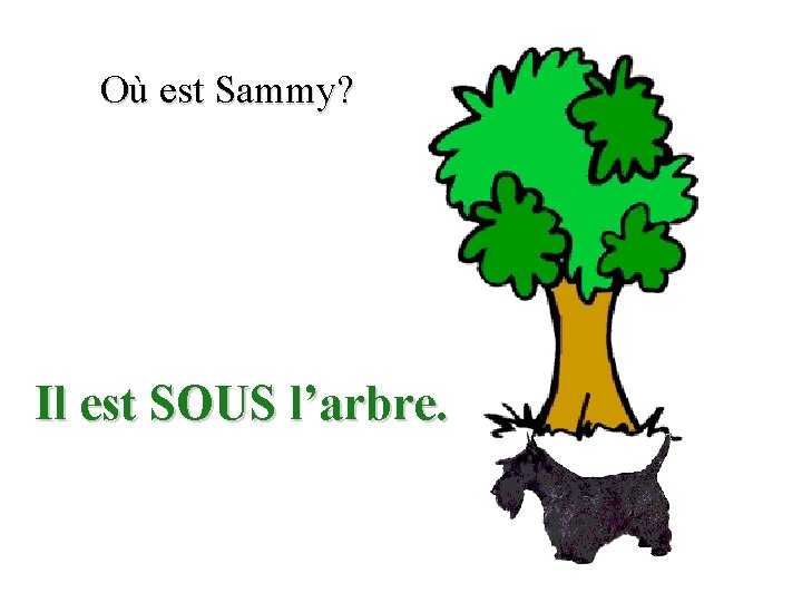 Où est Sammy? Il est SOUS l’arbre. 