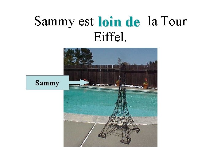 Sammy est loin de la Tour Eiffel. Sammy 