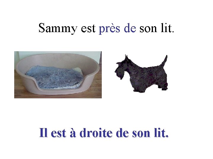 Sammy est près de son lit. Il est à droite de son lit. 