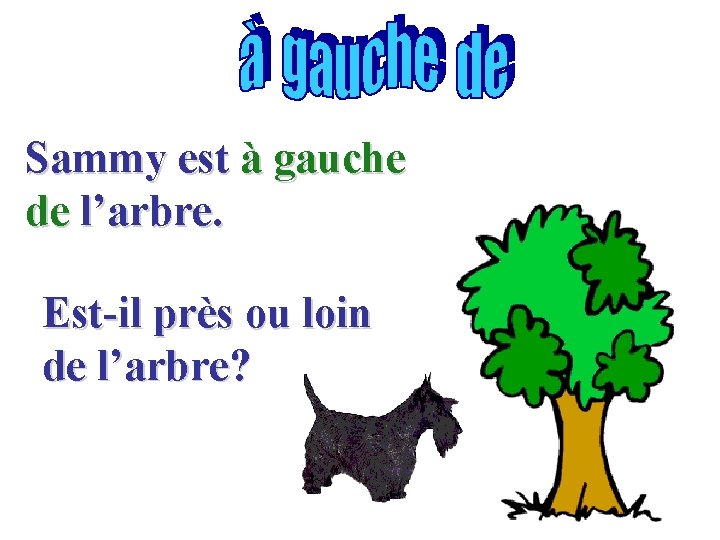 Sammy est à gauche de l’arbre. Est-il près ou loin de l’arbre? 