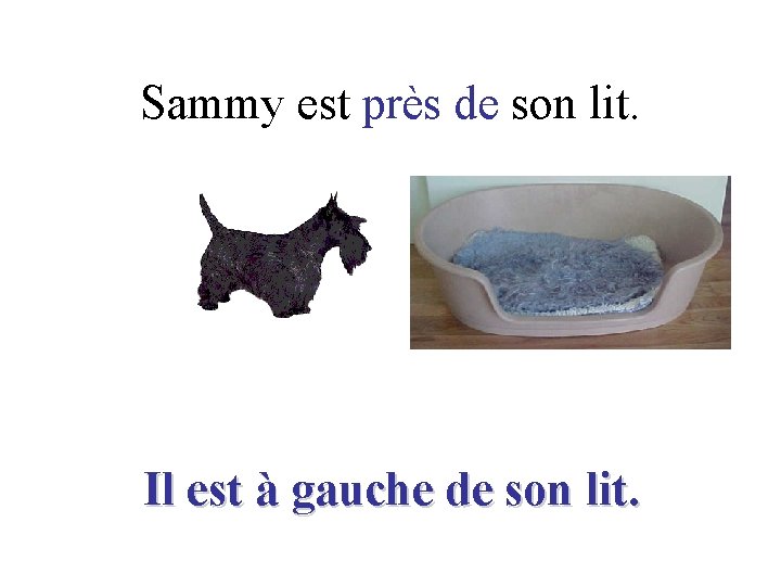 Sammy est près de son lit. Il est à gauche de son lit. 