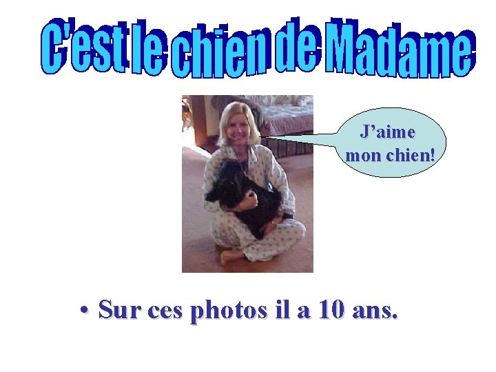 J’aime mon chien! • Sur ces photos il a 10 ans. 