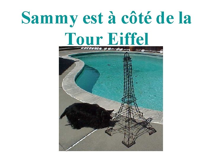 Sammy est à côté de la Tour Eiffel 