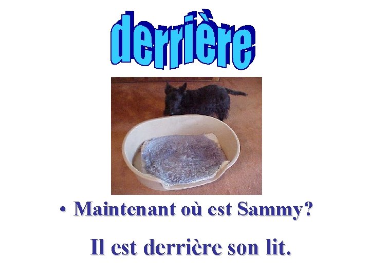  • Maintenant où est Sammy? Il est derrière son lit. 