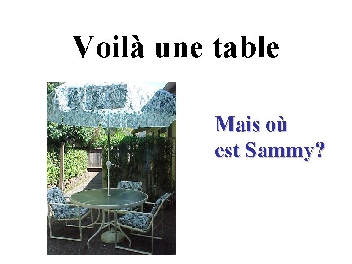 Voilà une table Mais où est Sammy? 