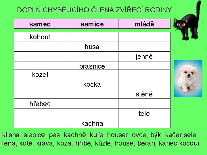 DOPLŇ CHYBĚJICÍHO ČLENA ZVÍŘECÍ RODINY samec samice mládě kohout husa jehně prasnice kozel kočka