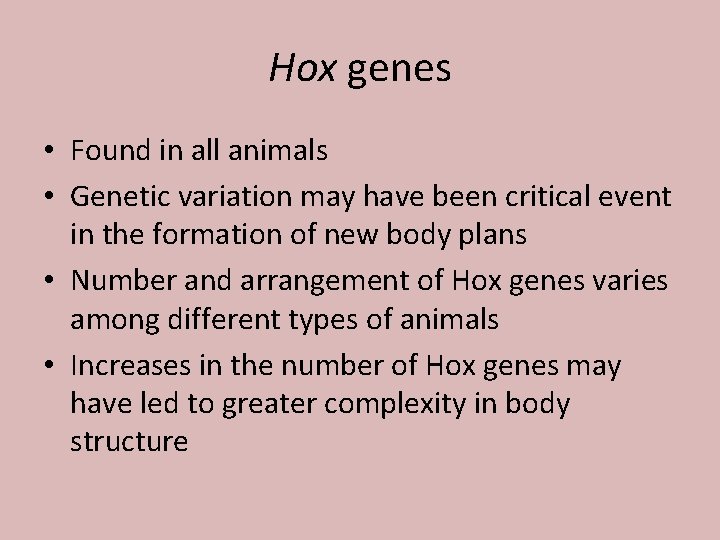 Hox genes • Found in all animals • Genetic variation may have been critical